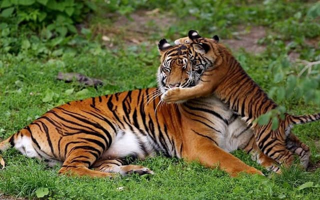 PHOTOGRAPHY TOUR CHHATTISGARH